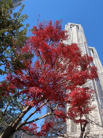 ちょっぴり紅葉・新宿1泊2日2019