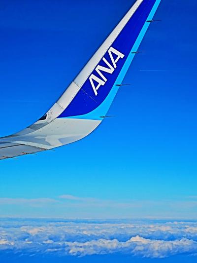 羽田空港 9:55発　ANA981便　九州/佐賀行　34K-河口湖も　☆阪急交通社/3日間ツアーで