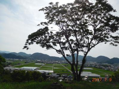 好きなものを詰め込んだ伊豆旅行～ベロドローム・韮山反射炉・韮山城～