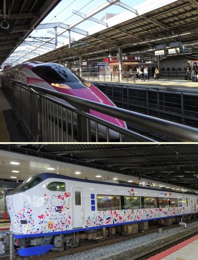 ハローキティプロジェクト完了：ミッション② 孫と一緒に、新幹線とはるかを目撃せよ！