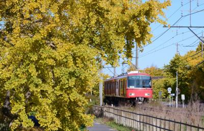 祖父江町のイチョウ