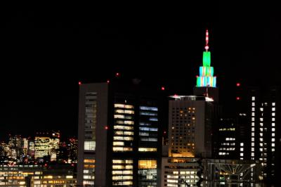 新宿京王プラザホテル泊で 皇居 大嘗宮 訪問 1