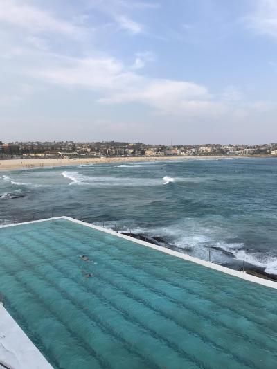 2019年11月 SFC修行 今年2度目のシドニーへ