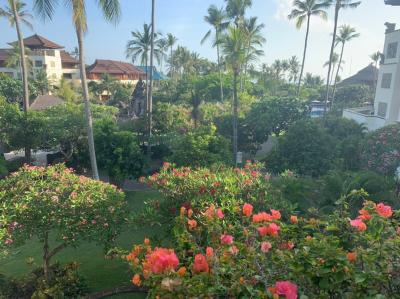 2019年　初のバリ島　ハワイ好きの私もはまったバリ④　帰国