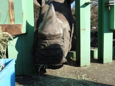 2泊3日伊豆旅行　たくさんの動物に出会える東伊豆