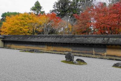 2019冬　御土居と龍安寺で紅葉を楽しむ