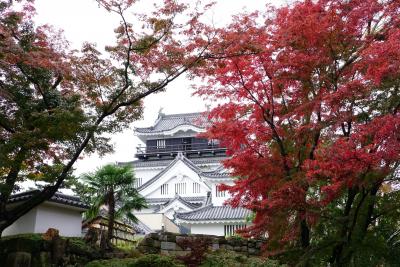 お城と紅葉、そして武将とお味噌