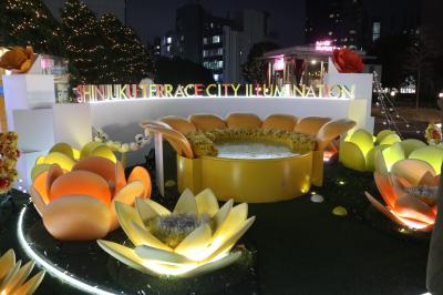 どういうわけか観劇つづきの12月☆その後のイルミネーション 今度は新宿☆