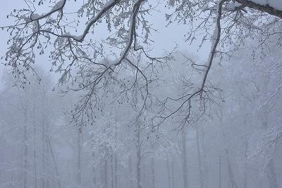 初冬の裏磐梯　自然の織り成す雪風景は素晴らしい。