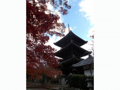 19年   秋の京都を歩く
