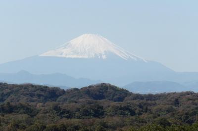 鎌倉三大富士見寺