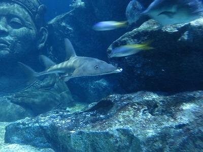 デパート地下の巨大水族館