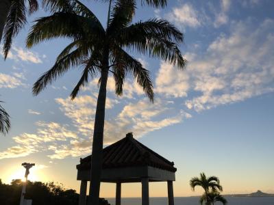 沖縄の大好きを巡る③～ネオパークとCALiNと海洋博公園の夕日♪     ( ´▽｀)～