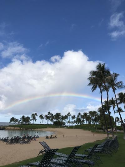 8泊10日  夫と私の終活ハワイ旅