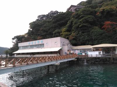 2019 伊豆紅葉家族旅行(2)~あわしま、沼津、富士~