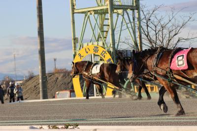 北海道旅行記その3 帯広グルメと競馬・十勝が丘展望台編