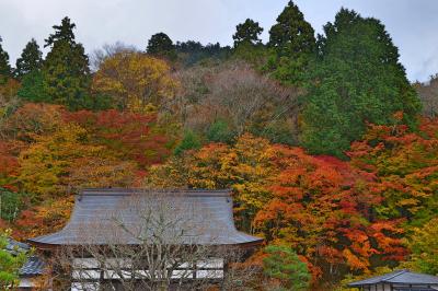 関西紅葉の旅