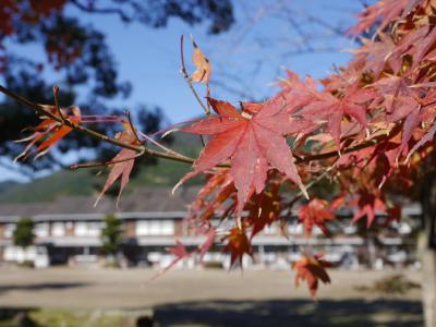筑前の小京都☆秋月城跡の紅葉 ～浮羽稲荷～調音の滝～三連水車