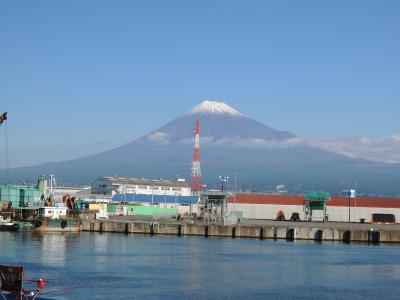 富士のふもとのシラス祭り