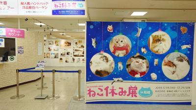 ねこ！ネコ！！猫！！！の「ねこ休み展 in 船橋」に行ってきた♪