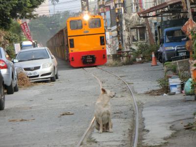 2019.12 サトウキビ列車を追いかけて　虎尾