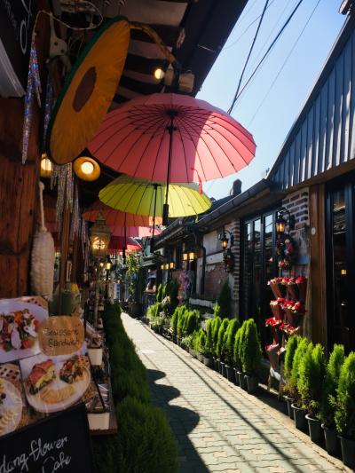 思い立ったらひとっ飛び~ソウルひとり旅~