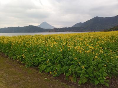 指宿旅行 注意点（R1.12.1~R2.2.29)