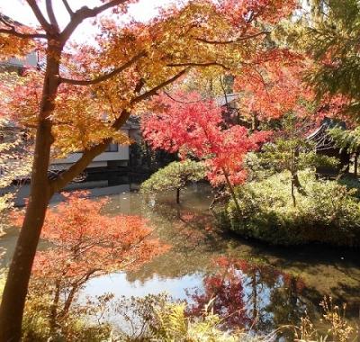 紅葉　　IN　　奥多摩渓谷