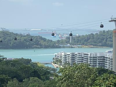 2019年末年始は南インド洋の国々アイランドホッピング(1)シンガポール乗継観光してヨハネスブルグへ&当初の全行程予定編