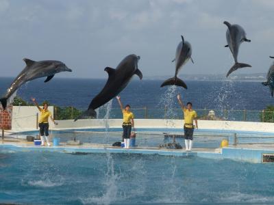 リゾートウェディングに招かれた沖縄　二泊三日の最終日/那覇へ羽田へ