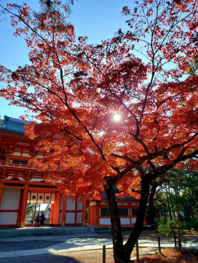 東急ホテルハーヴェスト京都鷹峯で過ごす2019お疲れ様忘年会