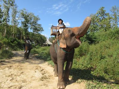 ラッキー！象乗り体験ができました！象は穏やかで賢い！　～　ルアンパバーン　ラオス　～　2019