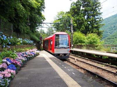 ＜リハビリ･旅行記＞2019年のお出掛け回想･３　箱根＆山梨甲州街道編