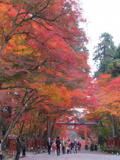 2019京都の紅葉 №22 「日吉大社」の紅葉 