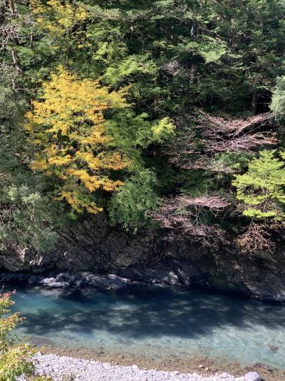 日本三美人の湯ってどんなだろう？ 龍神温泉 元湯