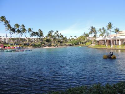結婚１０周年旅行　ハワイ島３～４日目　リゾート満喫　そして帰国