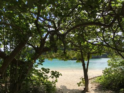 年末年始　おひとりさま、今年も暖かくなりたくて南の島へ　2日目　石垣島で海岸乗馬と島内ドライブ