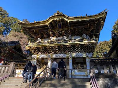 日光東照宮とあしかがフラワーパークイルミネーション（その３　日光東照宮）