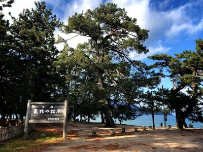 敦賀まで足を延ばしてみた【マリノスサポーターのオフ】