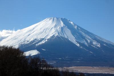 千三百万アクセス有難うございます