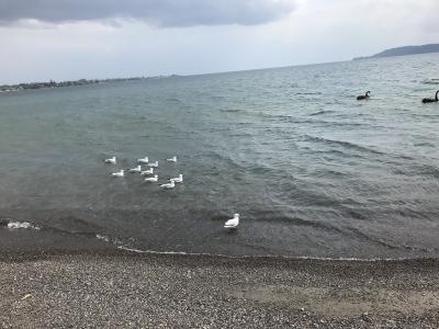 ニュージーランド北島、ファカパパビレッジからタウポへ