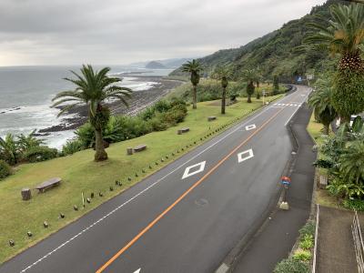 宮崎市周辺の観光地を巡る（前編：青島神宮、道の駅フェニックス）