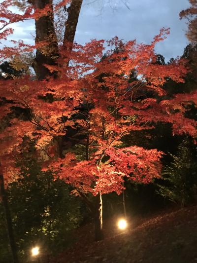 2019年12月  【紅葉がみたくて 京都】へ ひとり旅