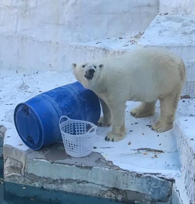 大阪　天王寺動物園