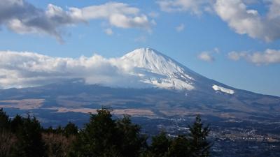 富士山を見ながらの  箱根  小田原城  焼津