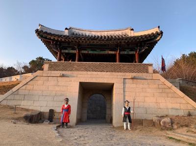 ひとり釜山と、東菜邑城（犬の散歩）