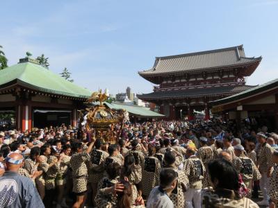 2016 浅草・三社祭