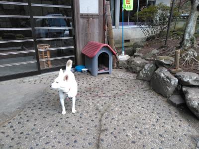 2019 年末湯めぐり(1)~奈良、和歌山、和泉~