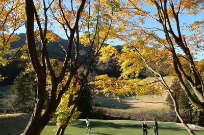 寒空でも元気でGOLF/大厚木・皐月・鴨川・横浜/DEC.2019