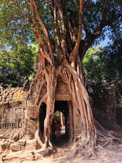 アンコール遺跡群、ビッグサークルを行く